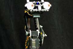 robot, animatronic, custom animatronic, robot eyes, 3dprinting, SLA, FDM, PLA, resin, mechatronics