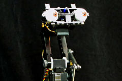 robotic eyes and neck animatronic with brown eyes and eyelids with black anodized aluminum supports and CNC machined linkages and exposed servos and mechanics