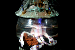 alien steampunk tank monster squid creature effects animatronic