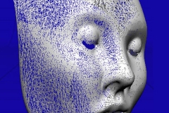 laser scanned female face