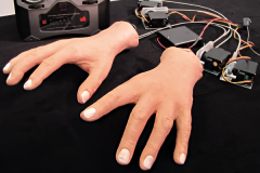 animatronic pair of super realistic silicone skin hands with internal robotic mechanisms that are remote controlled by the transmitter for illusionists and animated displays with live interactive puppetry