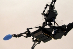 robotic manipulator from mars