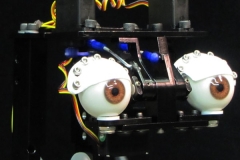 robotic research eyes