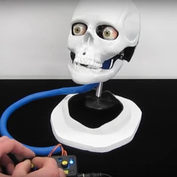 Animatronic Medical Head