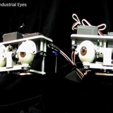 Animatronic Robotic Industrial Eyes