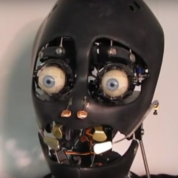 Animatronic Robotic ToMoMi Head animation test