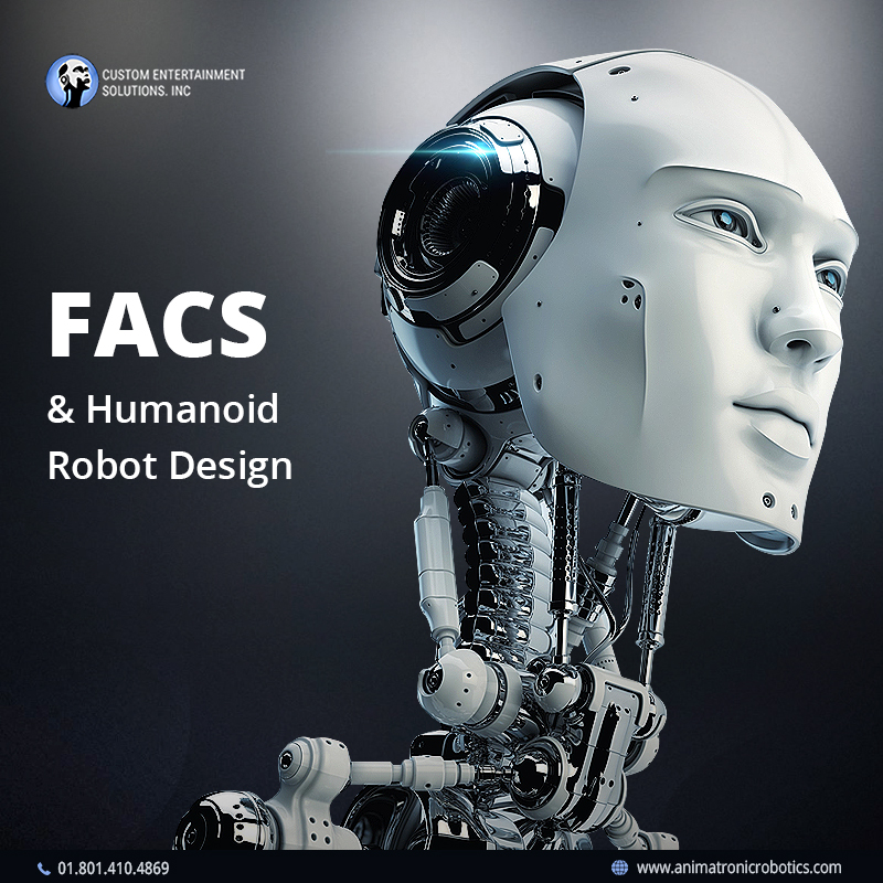 FACS and Humanoid Robot Design: An Overview
