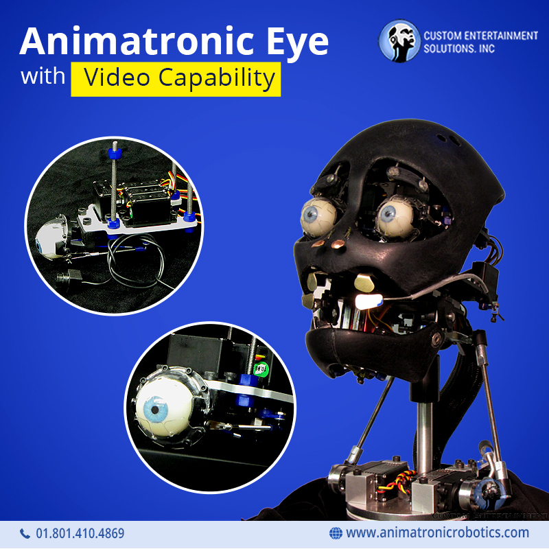 Animatronic Eye with Video Capability: A Step Towards Getting Alive!