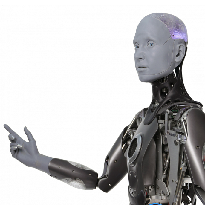 Artificial Intelligence in Animatronic Robotics