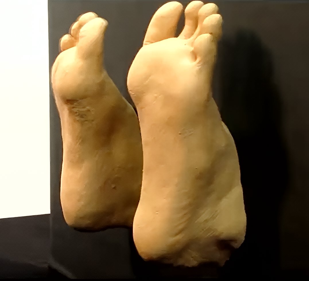 Ultra-realistic animatronic foot pair—articulated toes, ankle joints, mounting base—built for humanoid robotics by Custom Entertainment Solutions