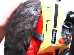 Close-up detail of animatronic eagle wing showing synthetic feather fur texture