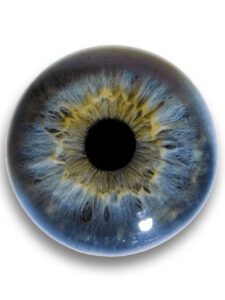 Close-up of an animatronic monster eyeball with a blue-gray iris and black pupil mounted in a creature eye socket